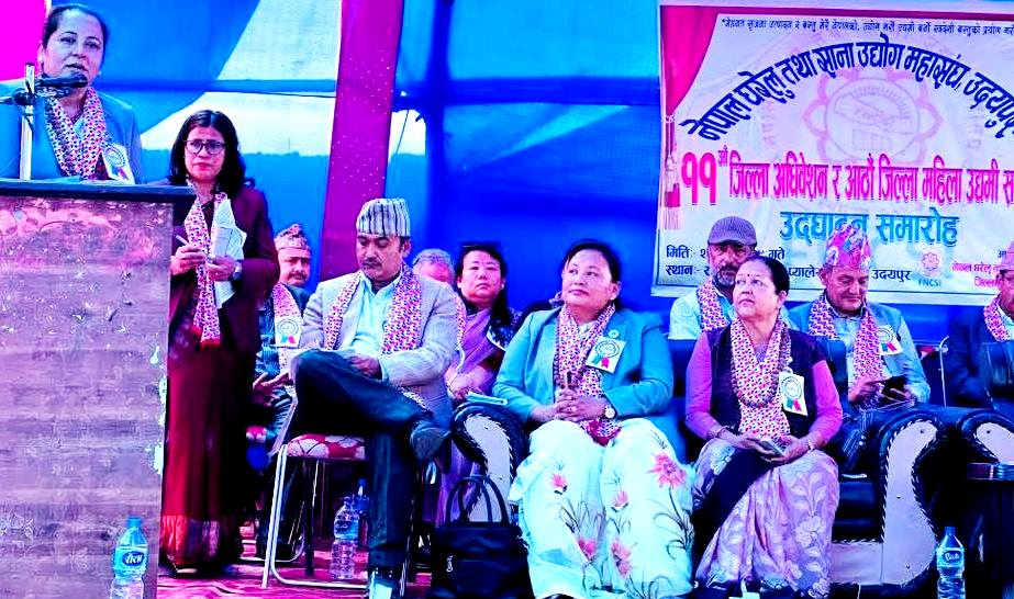 घरेलु उद्योग महासङ्घ अध्यक्षमा बिना 
